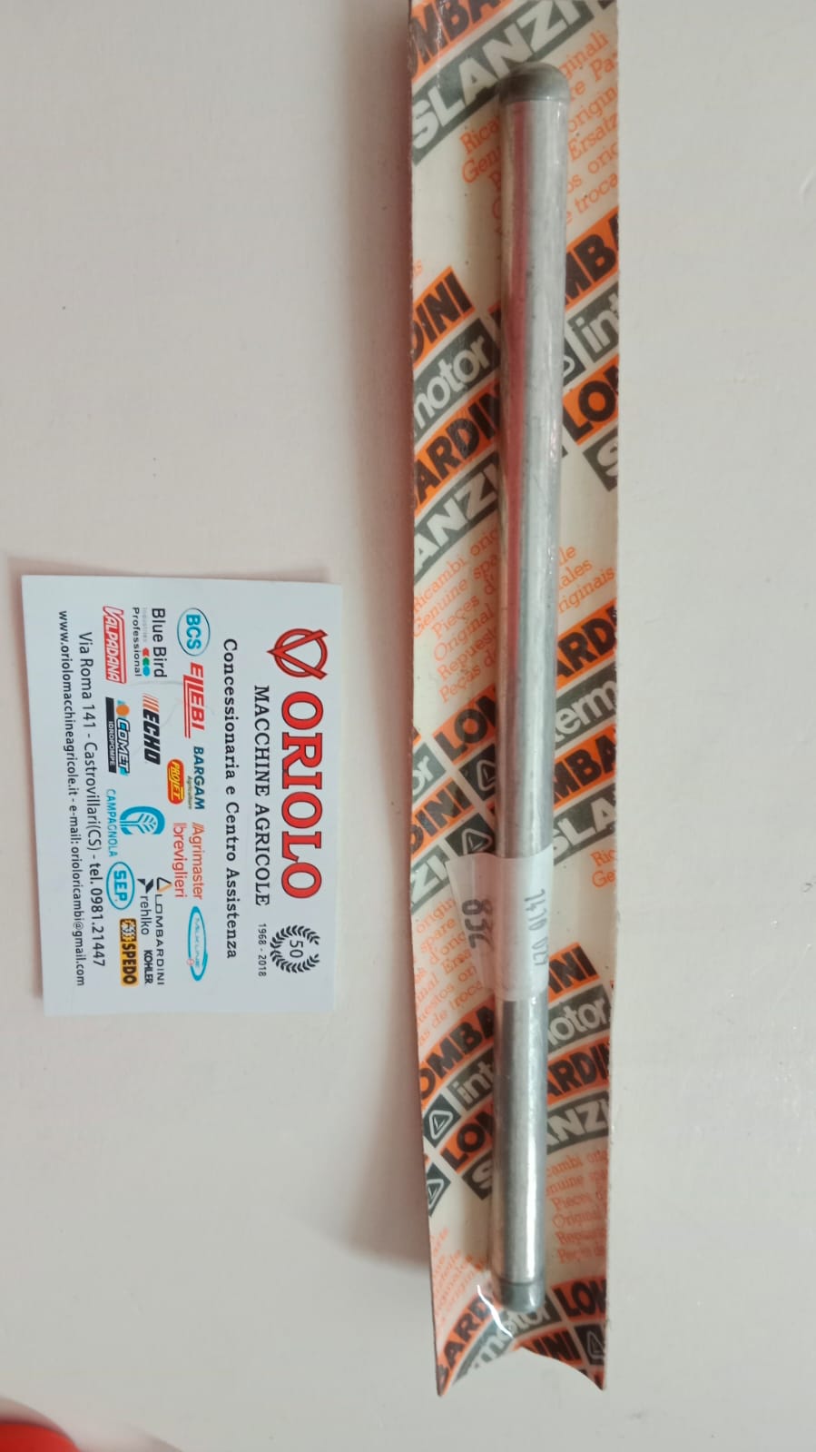 ASTA PUNTERIA DIAM 10 x L 234  mm